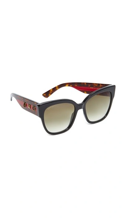 Gucci Special Edition Oversized Square Sunglasses, Black/tortoise/red In Green