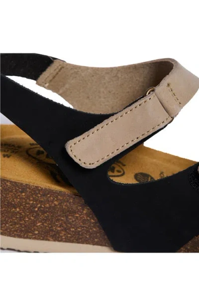 Plakton Ash Sandal In Multi