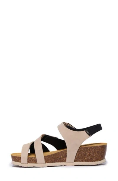 Plakton Ash Sandal In Multi