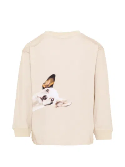 Molo Rube T-shirt In Neutral