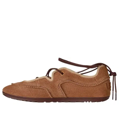 Ugg Quill Ballet Sneakers In Brown