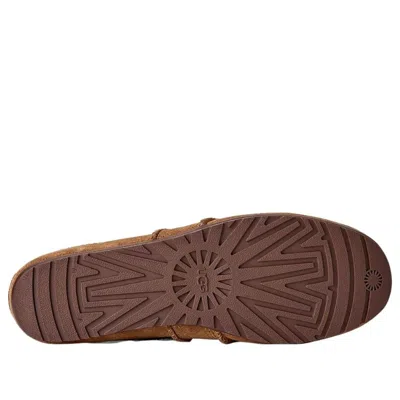 Ugg Quill Ballet Sneakers In Brown