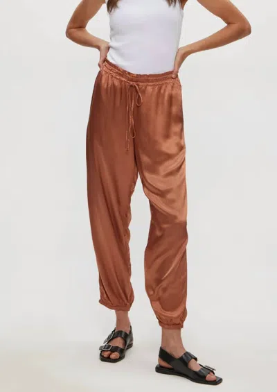 Michael Stars Pixie Jogger Pants In Terra In Brown