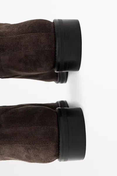 Massimo Dutti In Brown