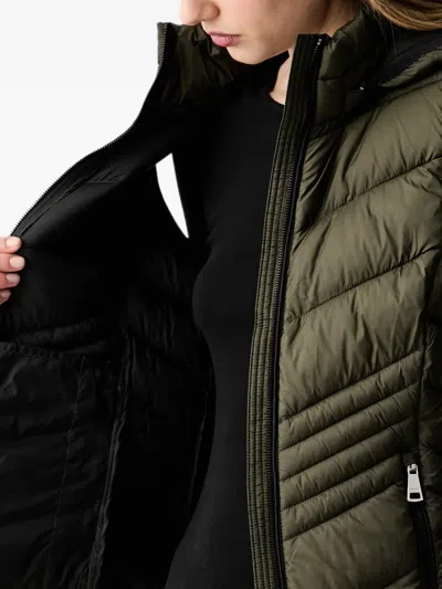 Dkny 퀼팅 후드 베스트 In Multi