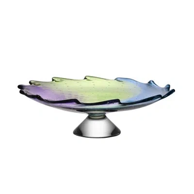 Kosta Boda Poppy Dish In Multi