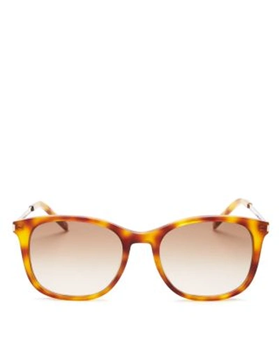 Shop Saint Laurent Thin Square Sunglasses, 53mm In Olive Havana