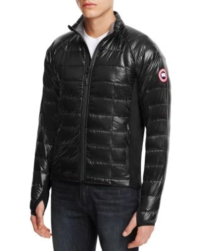 Canada Goose Hybridge Lite Quilted Down Jacket In Black Shell/red Lining