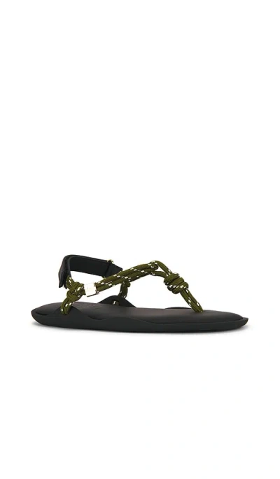 Flowze Flòwze Flò Sandals In Multi