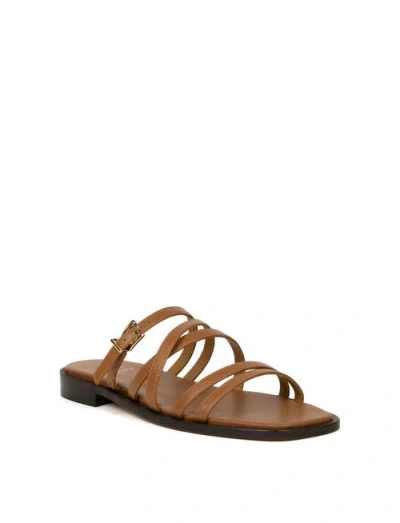 Bobbies Isys Flat Sandals In Brown