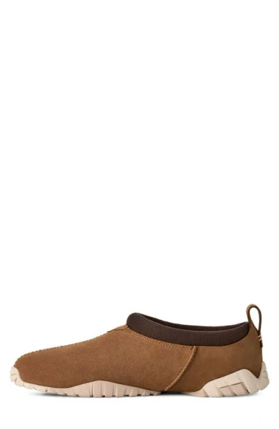 Ugg Tasman Flex In Multi