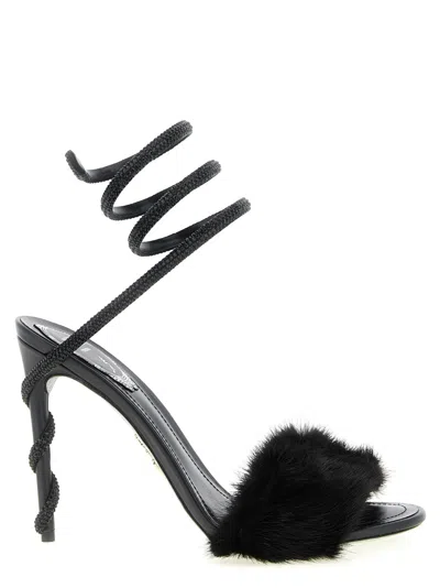 René Caovilla Rene Caovilla Heels In Black