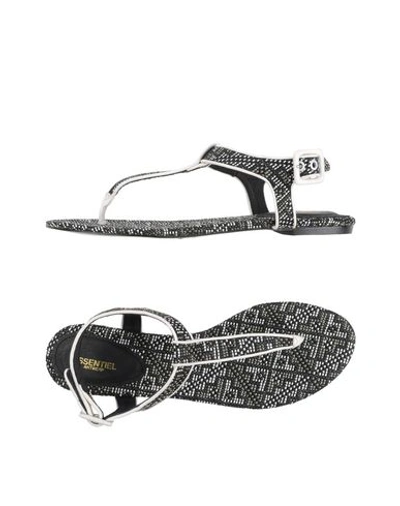 Essentiel Antwerp Flip Flops In Lead