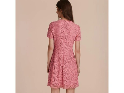 Shop Burberry Fit-and-flare Dropped-waist Lace Dress In Antique Rose