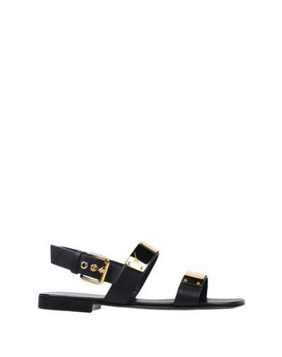 Shop Giuseppe Zanotti Sandals In Black