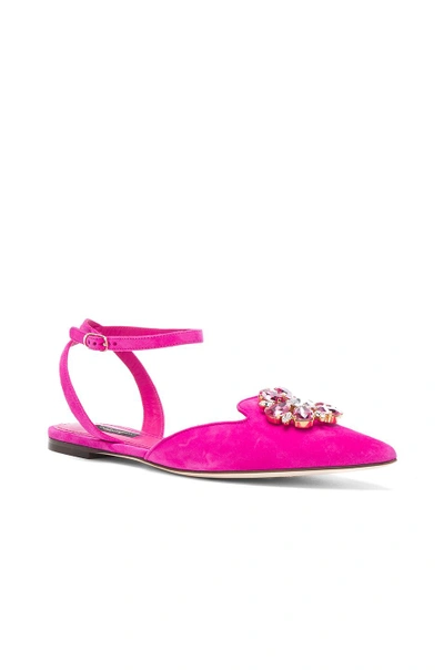 Shop Dolce & Gabbana Suede Belucci Flats In Pink. In Shocking Pink