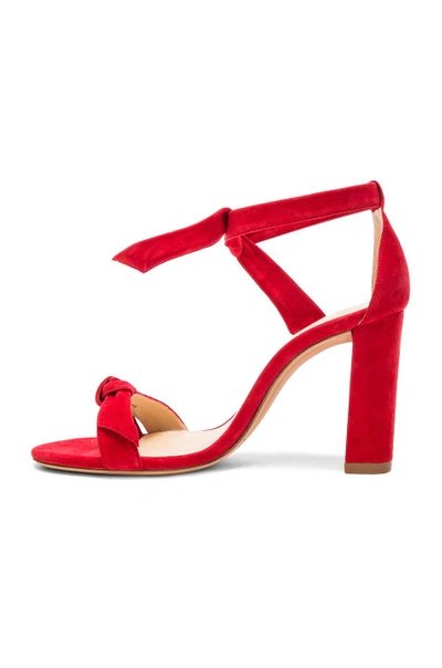 Shop Alexandre Birman Suede Clarita Block Heels In Flame