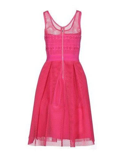Shop Pinko Midi Dresses In Garnet
