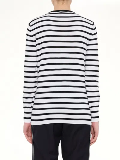 Loewe Cat Sweater Stripes In Multi