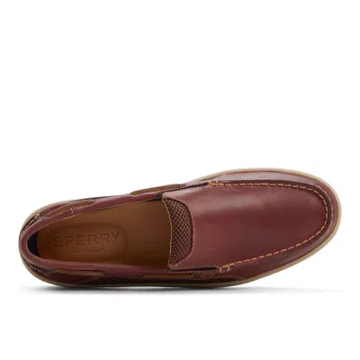 Sperry Billfish Slip-on In Dark Brown