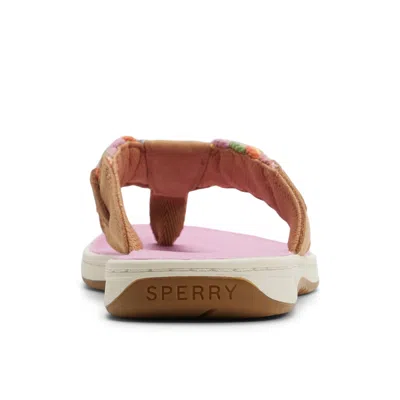 Sperry Parrotfish Sandal In Multi