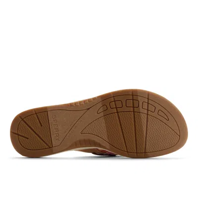 Sperry Parrotfish Sandal In Multi