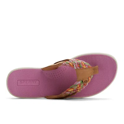 Sperry Parrotfish Sandal In Multi