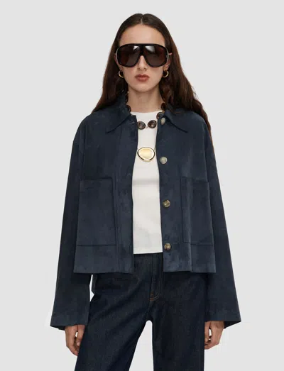 Joseph Aitna Light Suede Jacket In Multi