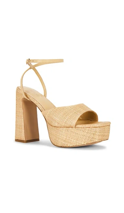 Raye Mina Platform In Multi
