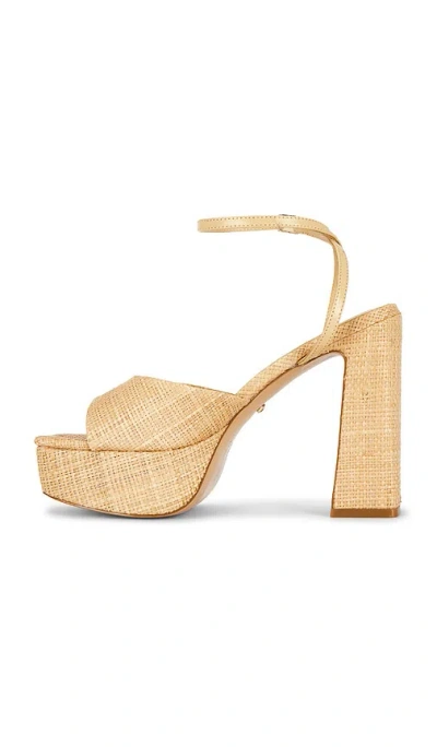 Raye Mina Platform In Multi