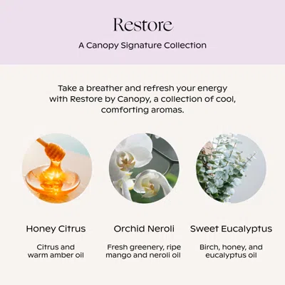 Canopy : Restore Aroma Kit In For Showerhead (with Felt Diffusers)