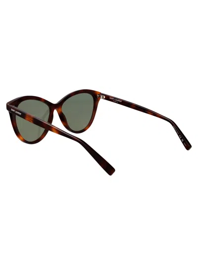 Saint Laurent Havana-havana-green Acetate Sunglasses In Multi
