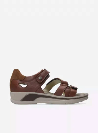 Wolky Desh Sandal In Brown