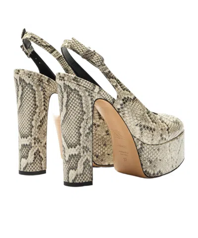Casadei Patty Python-print Platform Pumps In Neutral