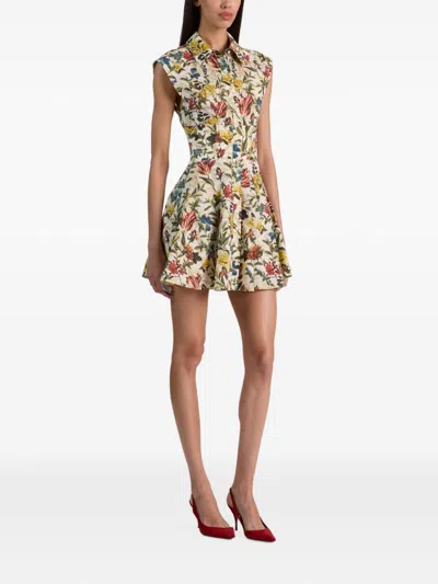 Alice And Olivia Kim Paneled Corset Flared Mini Shirt Dress Desert Springs Vanilla In Transparent