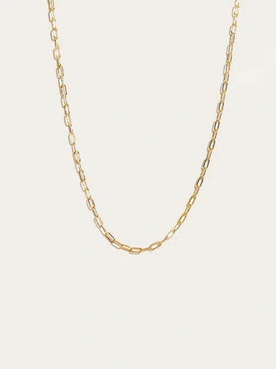 Able Essential Chain Necklace In Brown