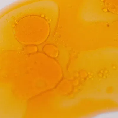 Cle Cosmetics Vitamin C Elixir