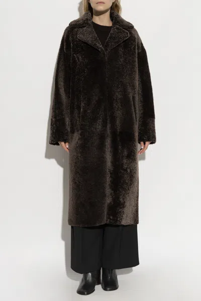 Arma Collared Coat In Brown