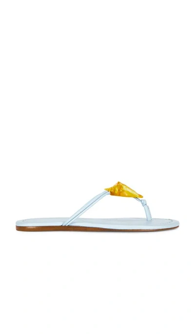 Farm Rio Shell Flat Sandal In Blue
