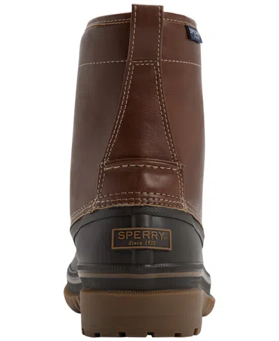 Sperry Men's Drake 6" Ducks In Brown