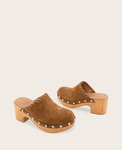 Gentle Souls Daphine Clog In Brown