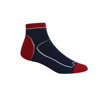 Regatta Samaris Trail Ankle Socks In Multi