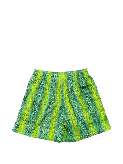 Eric Emanuel Snake-pattern Logo-print Shorts In Multi