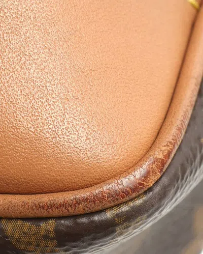 Louis Vuitton Monogram Odeon Pm Bag In Brown