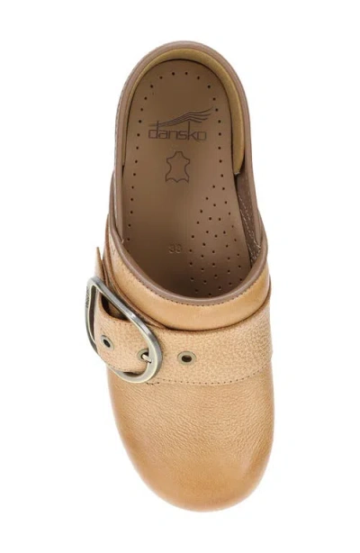 Dansko Pearson Buckle Strap Clog In Brown