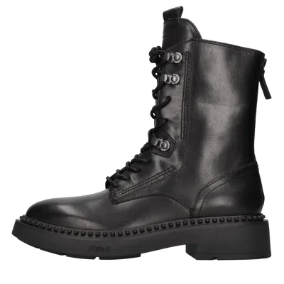 Ash Marlin01 High Boots In Black