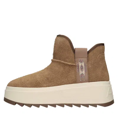 Ash Round-toe Ankle Boots In Brown
