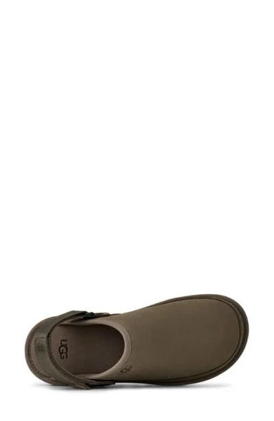 Ugg Sandals Goldencoast Ii The Man In The Gray Shorts In Dried Oregano