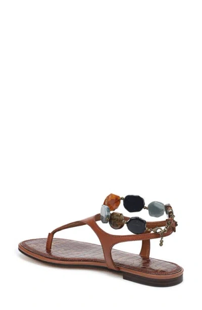 Sam Edelman Canna Ankle Strap Sandal In Brown