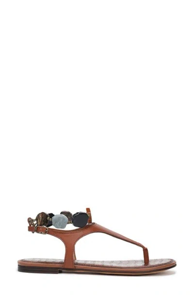 Sam Edelman Canna Ankle Strap Sandal In Brown